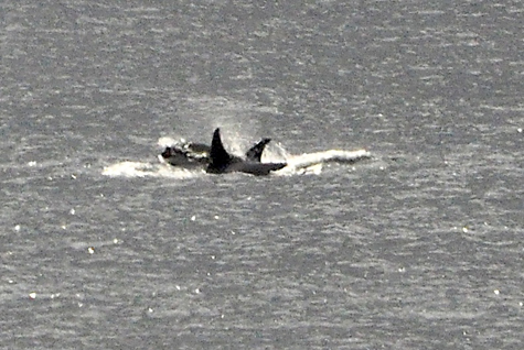 Melanie Heinrich Images - Alaska